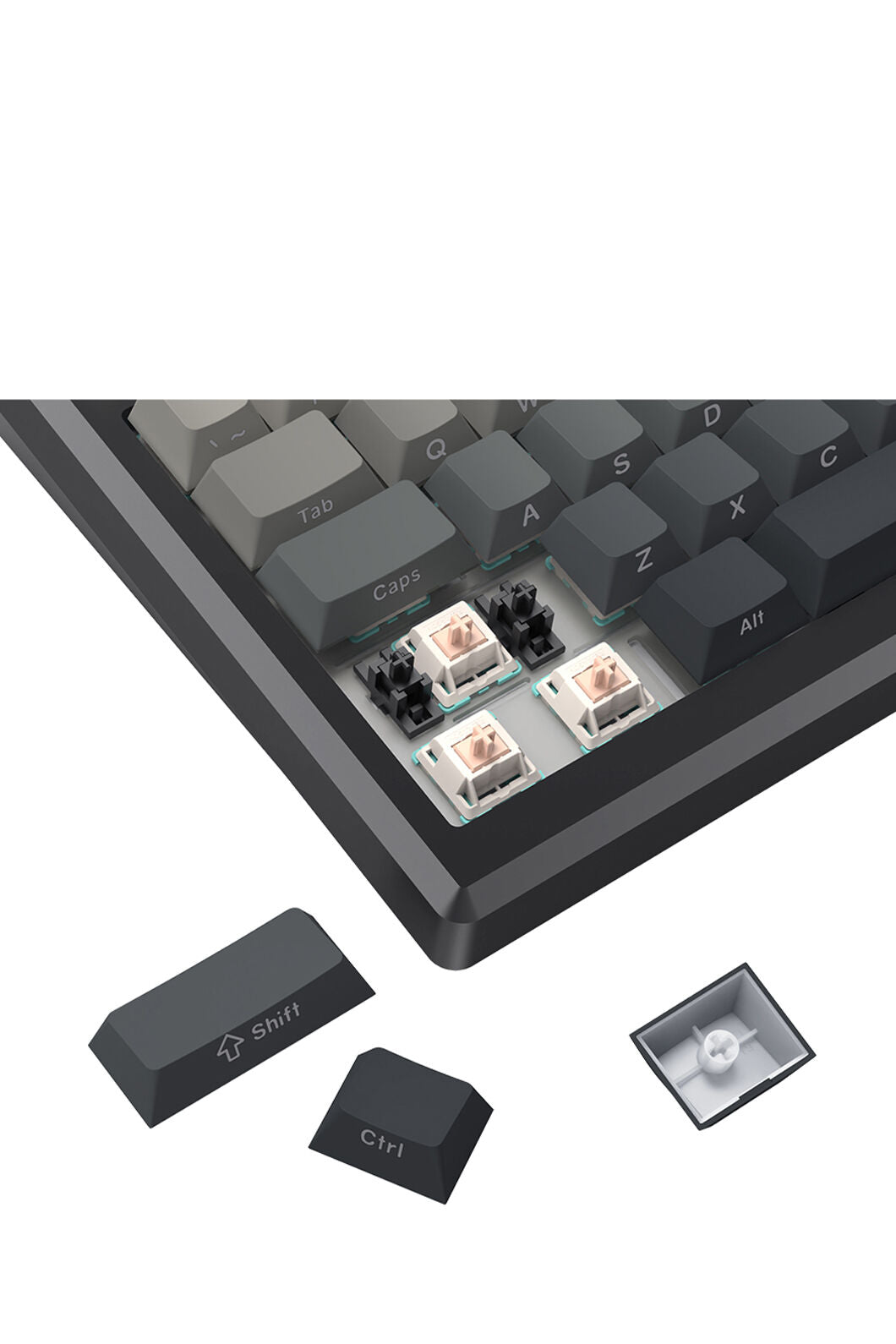 REDRAGON - Redragon K673SP RGB Pro Geb Gradient Black 75% Gasket Wireless Mechanical Keyboard - powder-blue