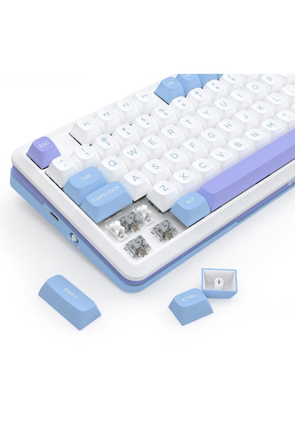 REDRAGON - Redragon K681WBP RGB Pro Cyrus Purple 75% Gasket Wireless Mechanical Keyboard - purple