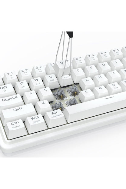 REDRAGON - Redragon K730W RGB Pro Draconic V2 White 60% Gasket Wireless Mechanical Keyboard - white