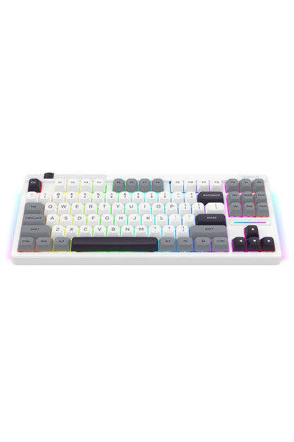 REDRAGON - K729WGB-RGB-PRO OTIM ProTKL Keyboard - white