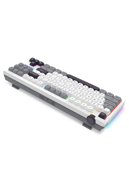 REDRAGON - K729WGB-RGB-PRO OTIM ProTKL Keyboard - white